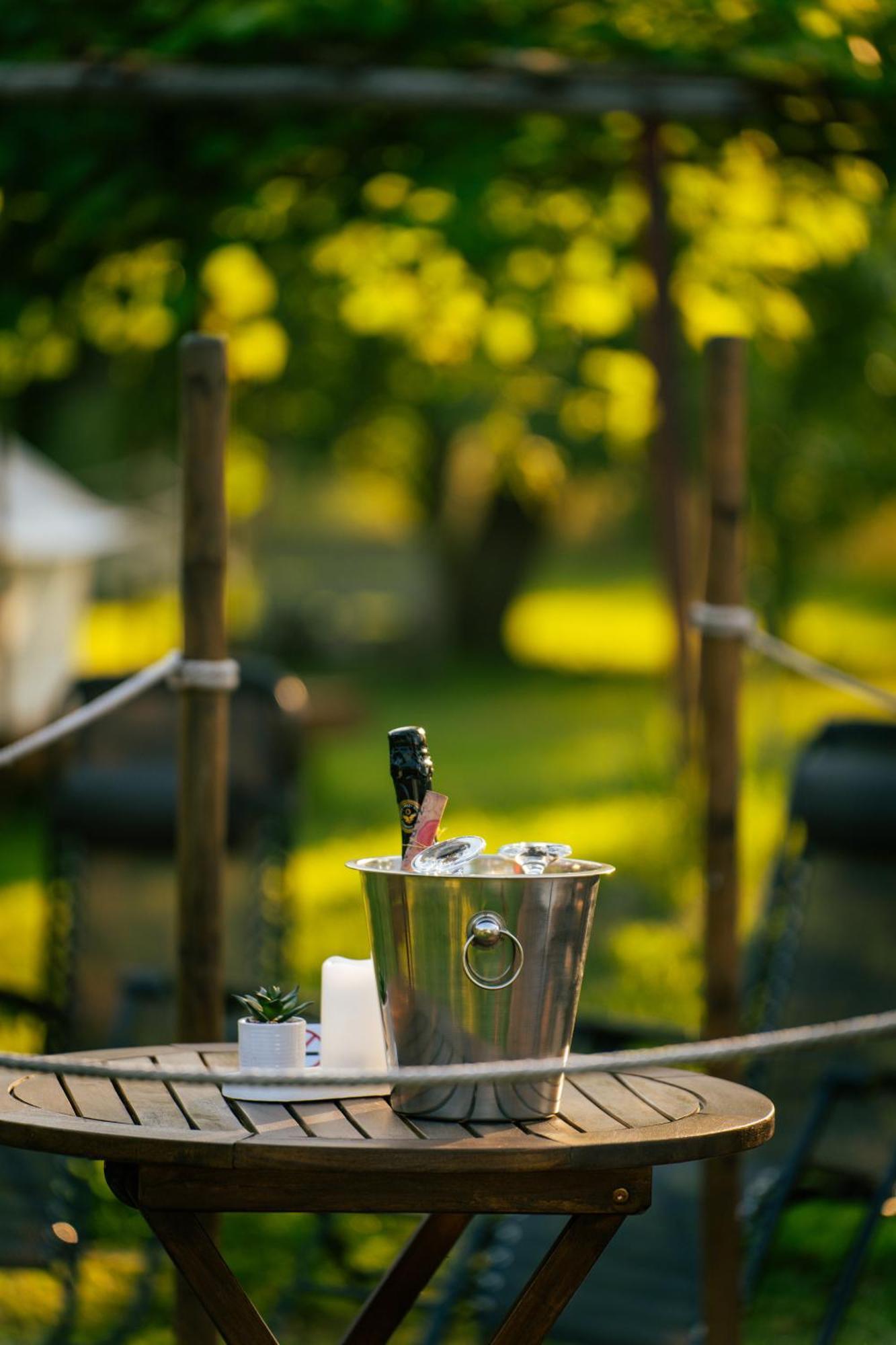 Green Garden Glamping Retezat Balan  Exterior photo
