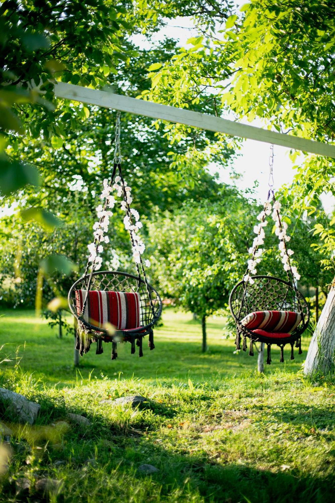 Green Garden Glamping Retezat Balan  Exterior photo